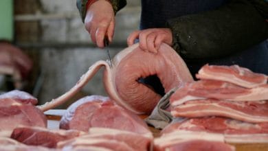 China to buy 40,000 tonnes of frozen pork for state reserves on May 13 -notice