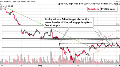 Fakeout Oe Breakout: Is Gold Miners’ Crash Coming?