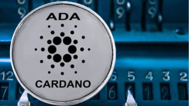 Reasons Why ADA Is Thriving in the Current Crypto Bear Market