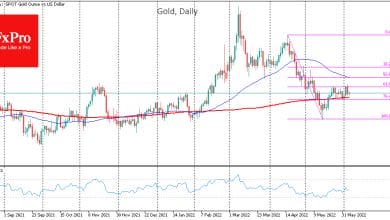 Gold Under Pressure Despite Central Banks Buying