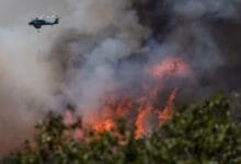 California wildfire near Yosemite National Park expands overnight