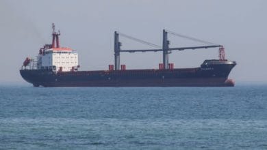 Two more ships with grain depart from Ukraine-Turkey defence ministry