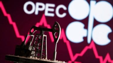 Oil rally stalls on weak Chinese data, uncertainty over OPEC cut