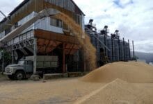 Ukraine Oct grain exports almost return to pre-war levels – ministry