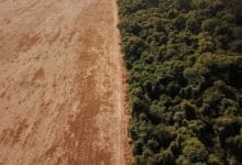 Deforestation in Brazil’s Amazon rises in March