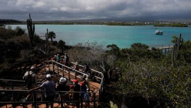 Nuveen mulls buying Galapagos bond, impact metrics are key