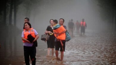 China intensifies flood rescue efforts south of Beijing after historic rains