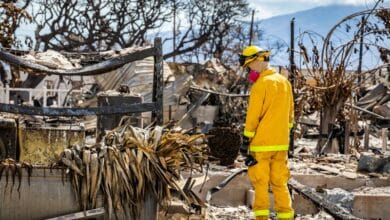 A month after deadly Maui fire, 66 people still missing