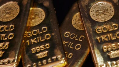 Gold prices steady as early rate-cut hopes drive strong gains