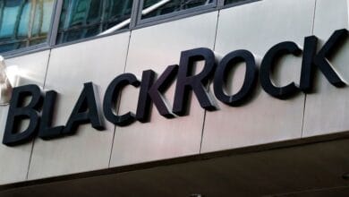 BlackRock to invest up to $400 million in Dubai decarbonisation firm Positive Zero