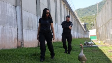 Brazilian ‘geese agents’ honk in case of prison break